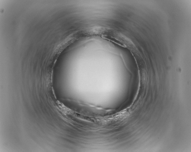 X0000072990409200608111812