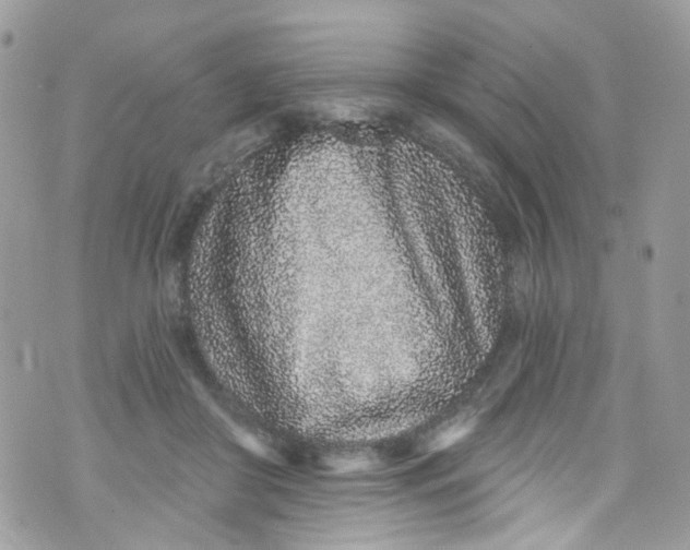 X0000072990410200608111812