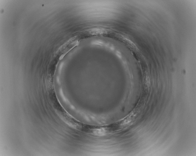 X0000072990411200608111812