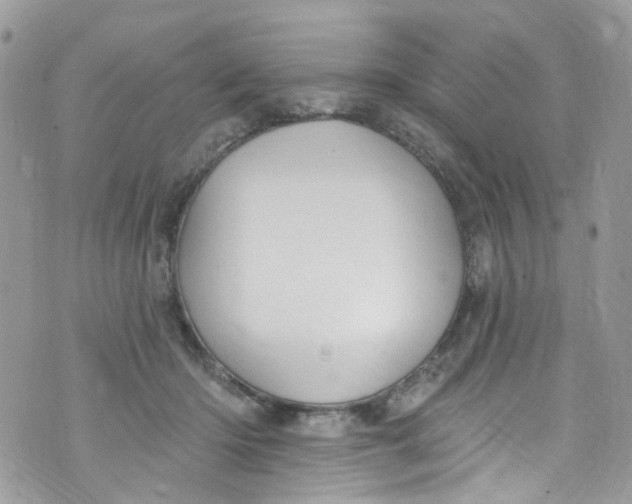 X0000072990414200608111812