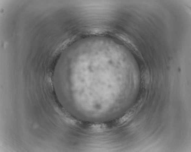 X0000072990415200608111812