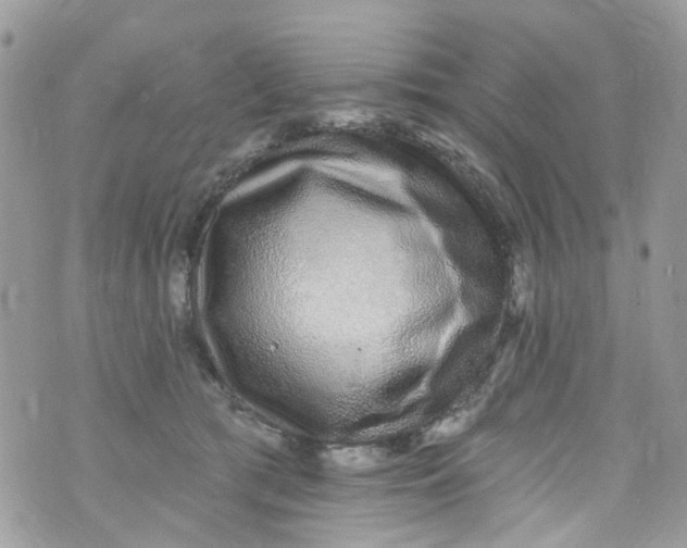 X0000072990417200608111812