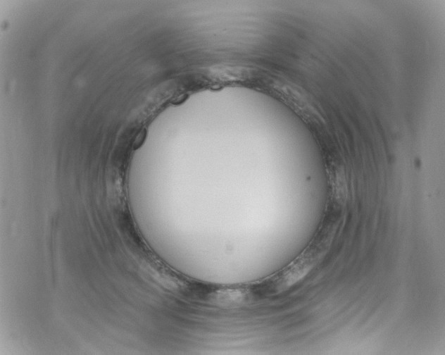 X0000072990418200608111812