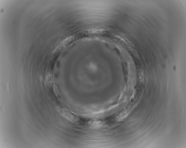 X0000072990419200608111812