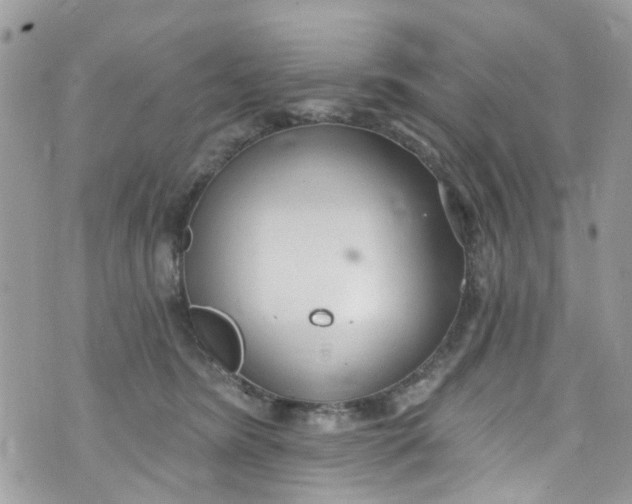 X0000072990420200608111812