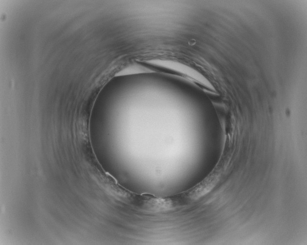 X0000072990421200608111812