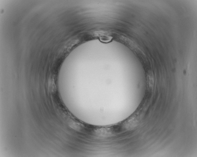 X0000072990422200608111812