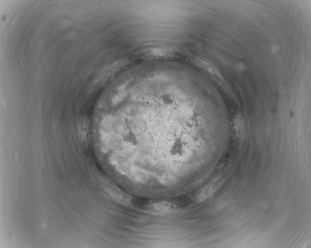 X0000072990423200608111812