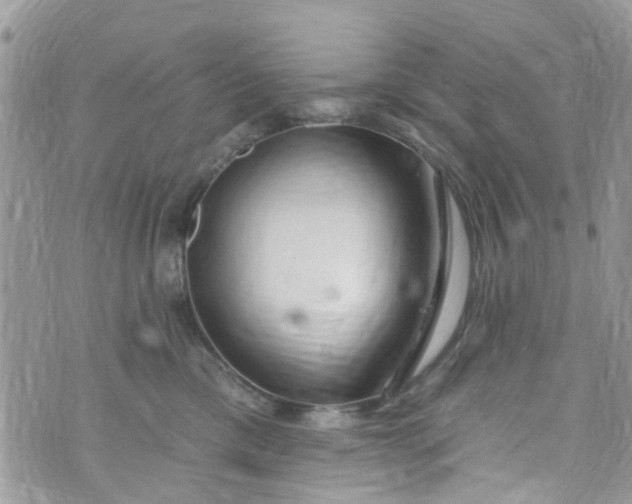 X0000072990425200608111812