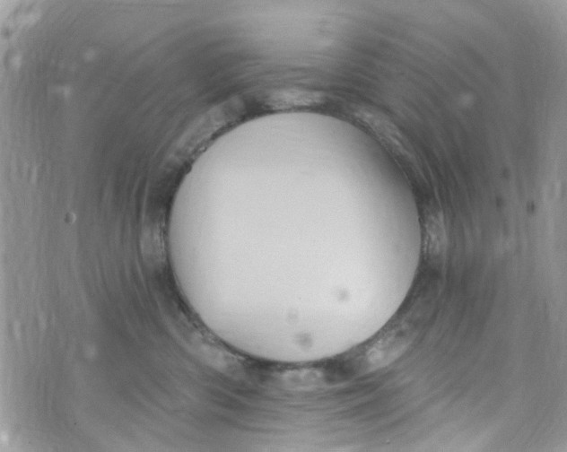 X0000072990426200608111812