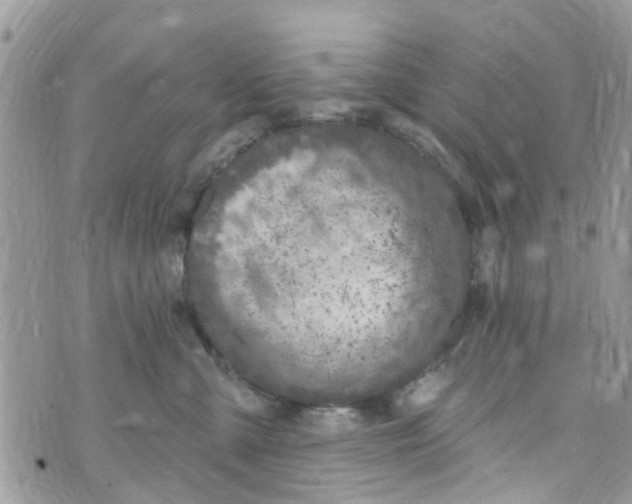 X0000072990427200608111812