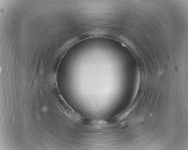 X0000072990429200608111812