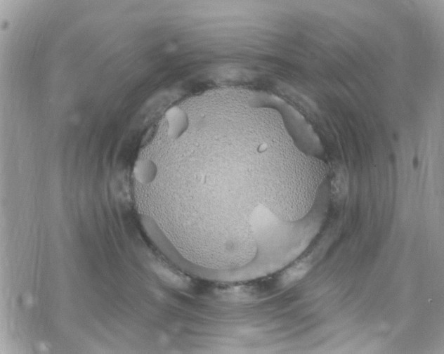 X0000072990430200608111812