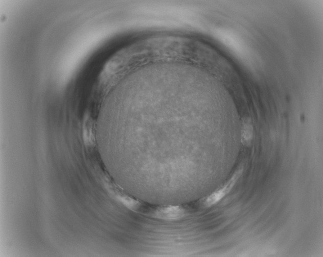 X0000072990431200608111811