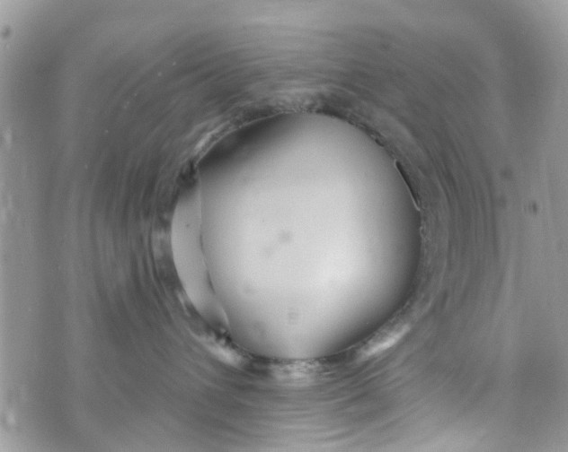 X0000072990432200608111811