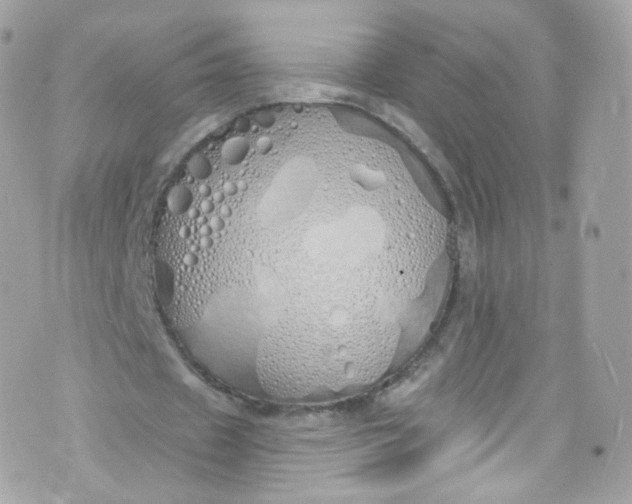 X0000072990433200608111811