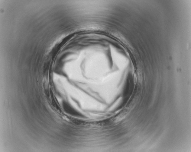 X0000072990434200608111811