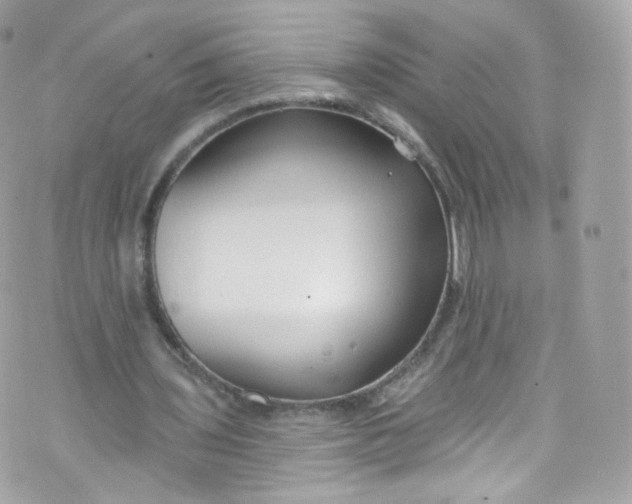 X0000072990435200608111811