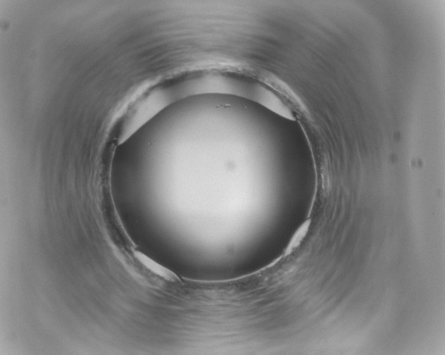 X0000072990436200608111811