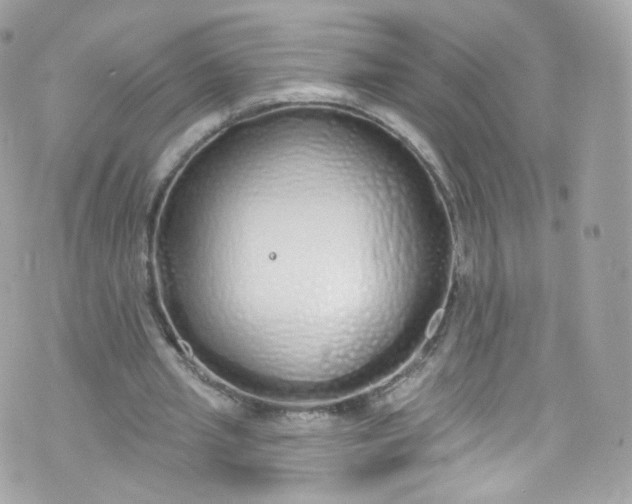 X0000072990437200608111811