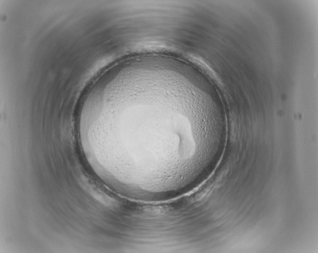 X0000072990439200608111811