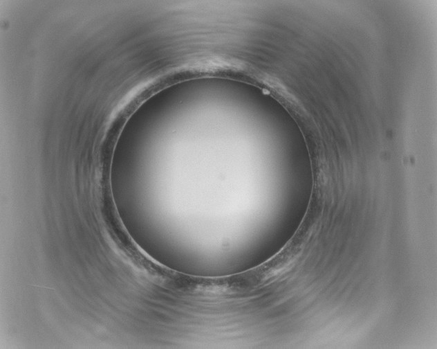 X0000072990440200608111811