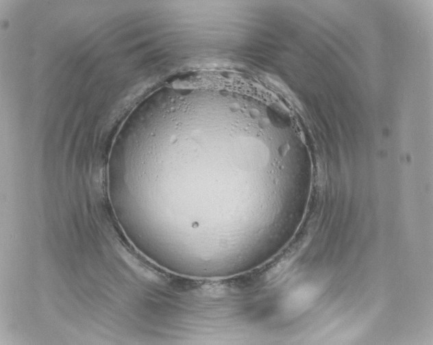 X0000072990441200608111811