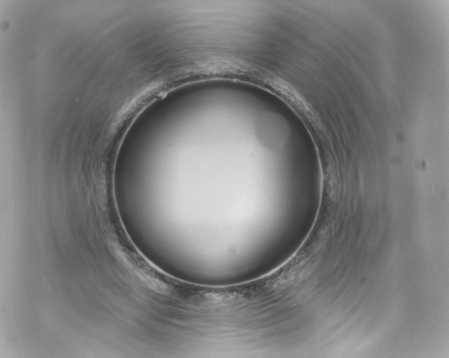 X0000072990442200608111811