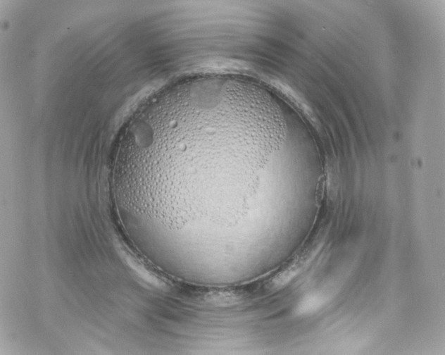 X0000072990445200608111811