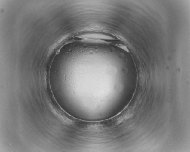 X0000072990446200608111811