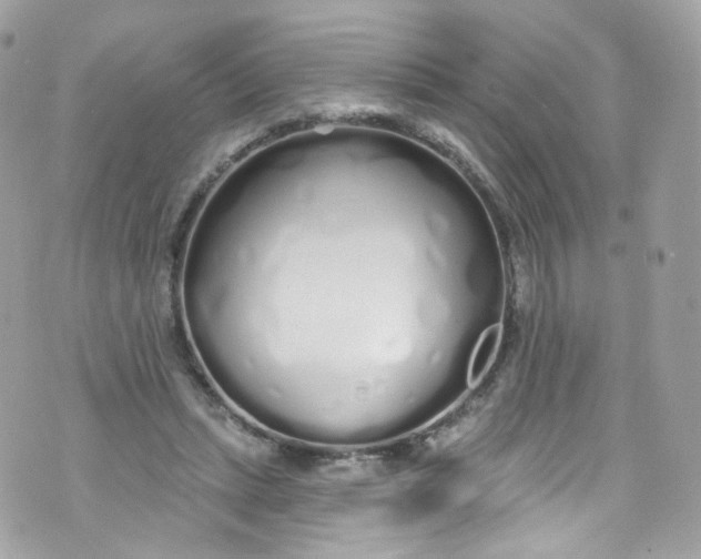 X0000072990447200608111811