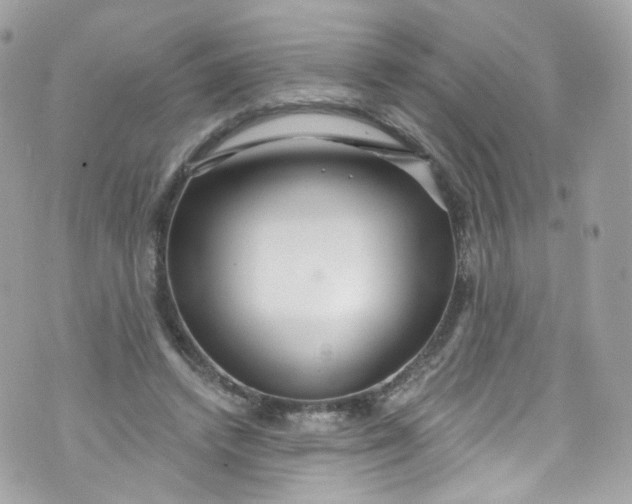 X0000072990448200608111811