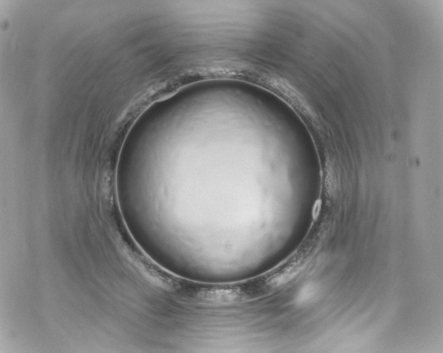 X0000072990449200608111811