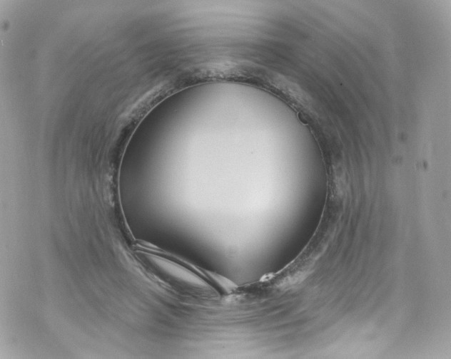 X0000072990450200608111811