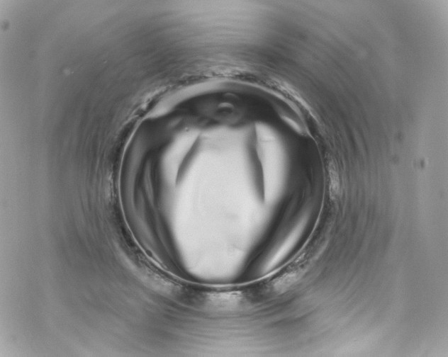 X0000072990451200608111811