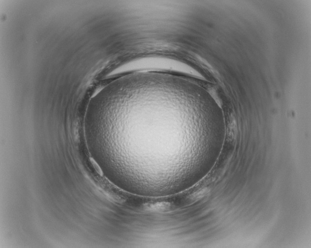 X0000072990452200608111811