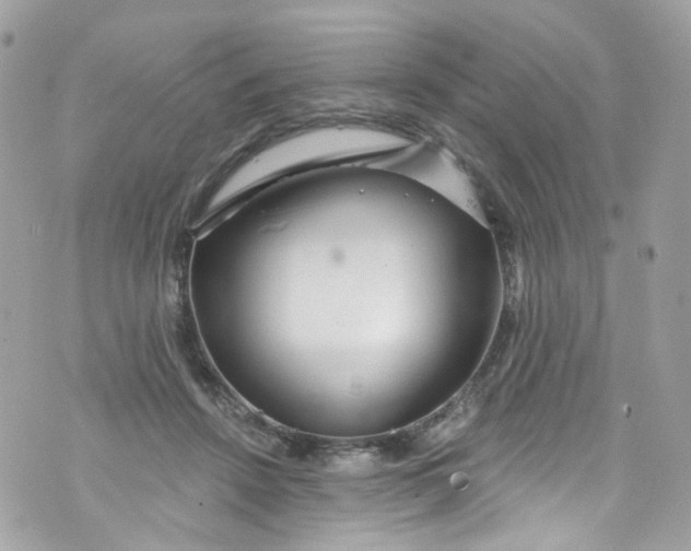 X0000072990456200608111811