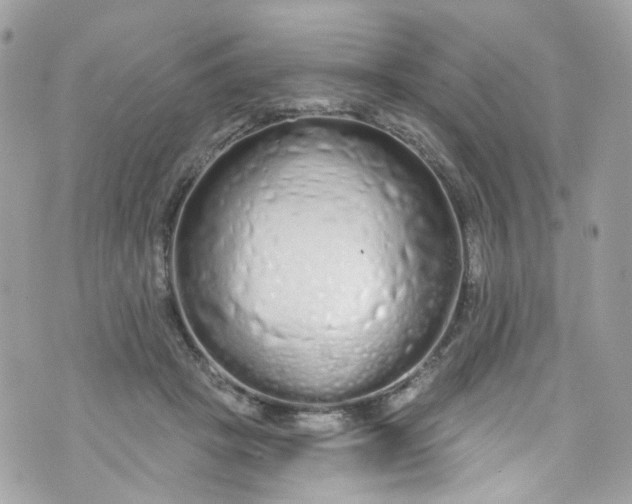 X0000072990457200608111811