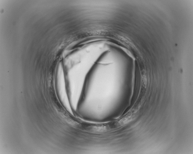 X0000072990458200608111811