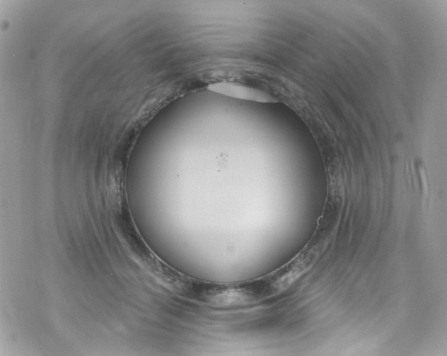 X0000072990460200608111811