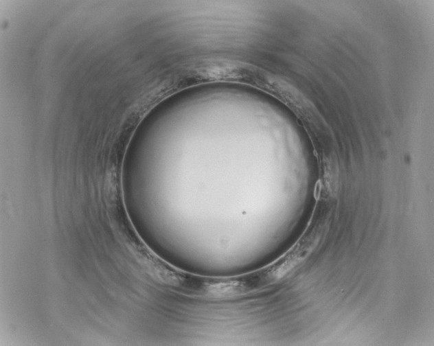 X0000072990461200608111811