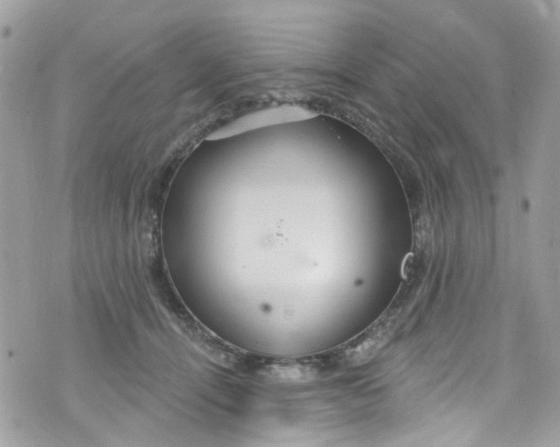 X0000072990464200608111811