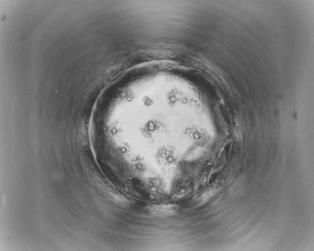 X0000072990465200608111811