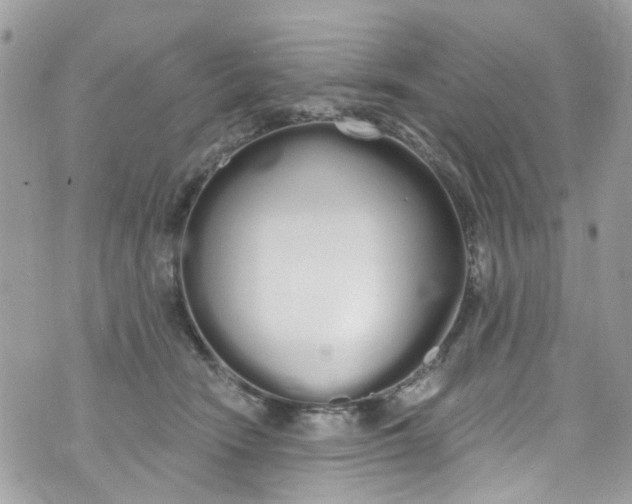 X0000072990466200608111811