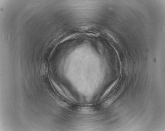 X0000072990467200608111811