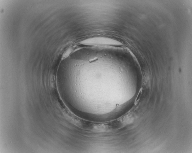 X0000072990470200608111811