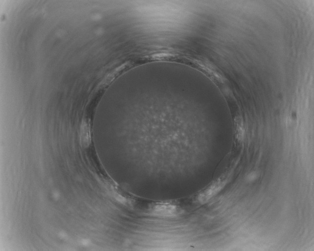 X0000072990471200608111811