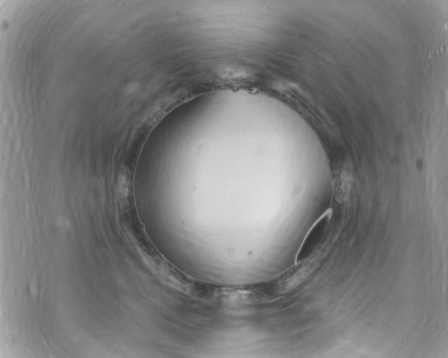 X0000072990472200608111811