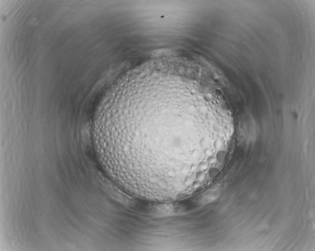 X0000072990473200608111811