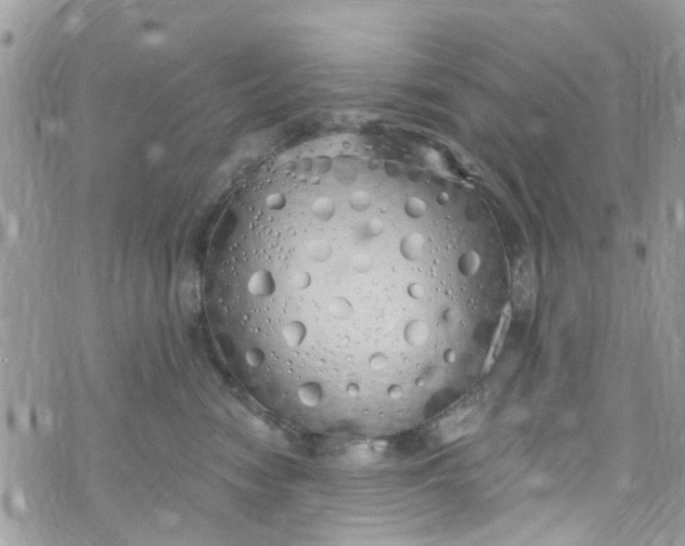 X0000072990474200608111811